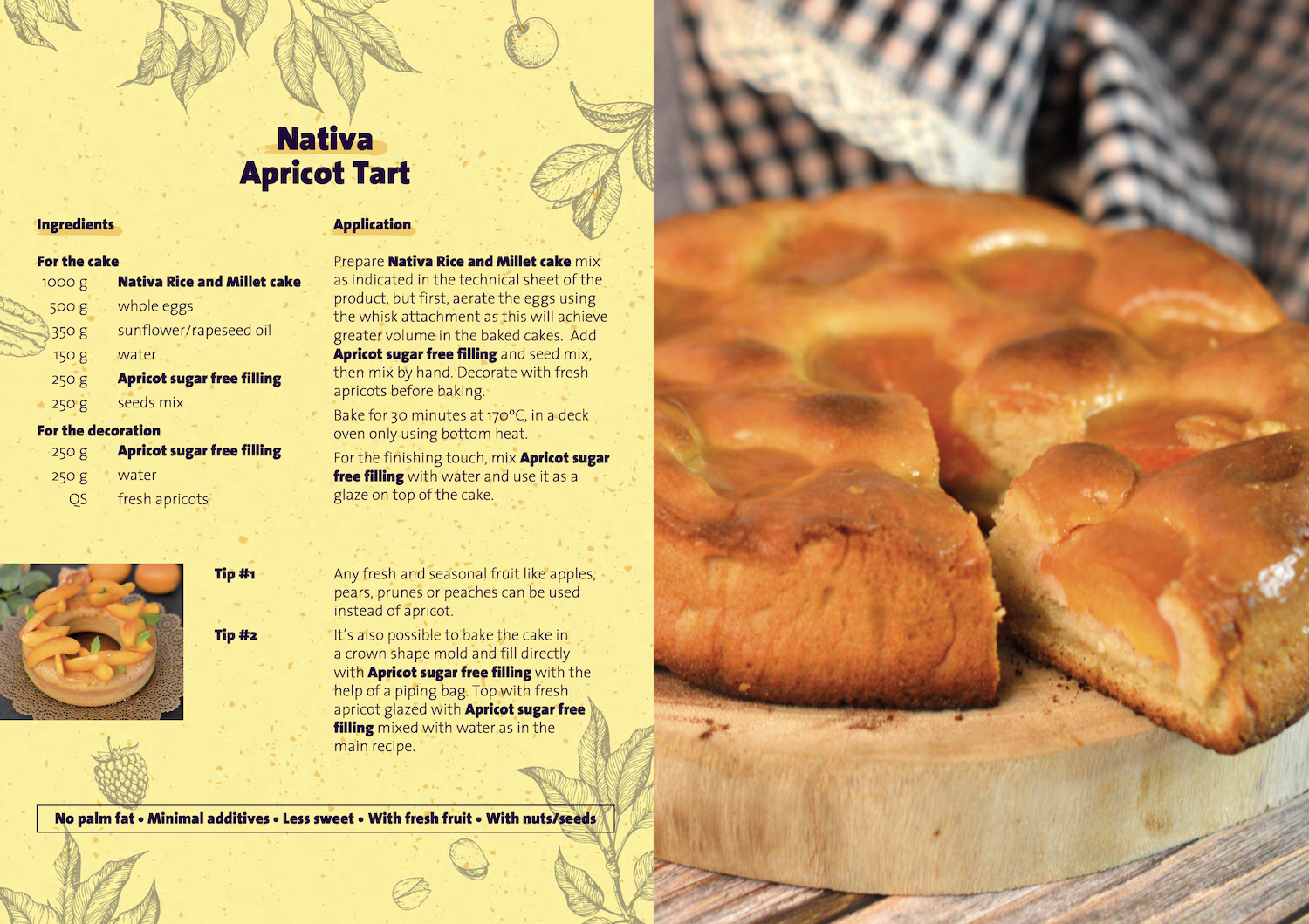 apricot cake recipe.png