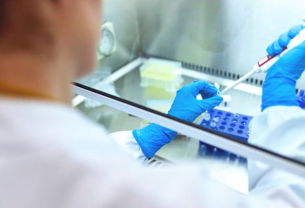 food safety lab testing