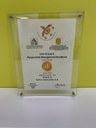 Award Sefco.jpg
