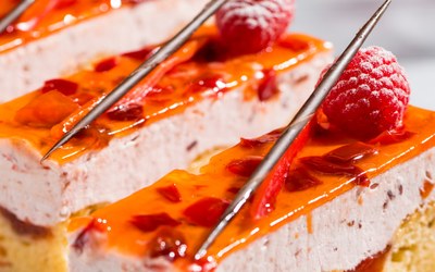 Veganuary: vegans in the spotlight!